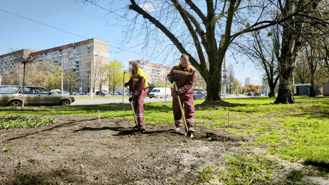«Зеленая весна» в Харькове: сколько цветов и деревьев высадили дворники (фото)