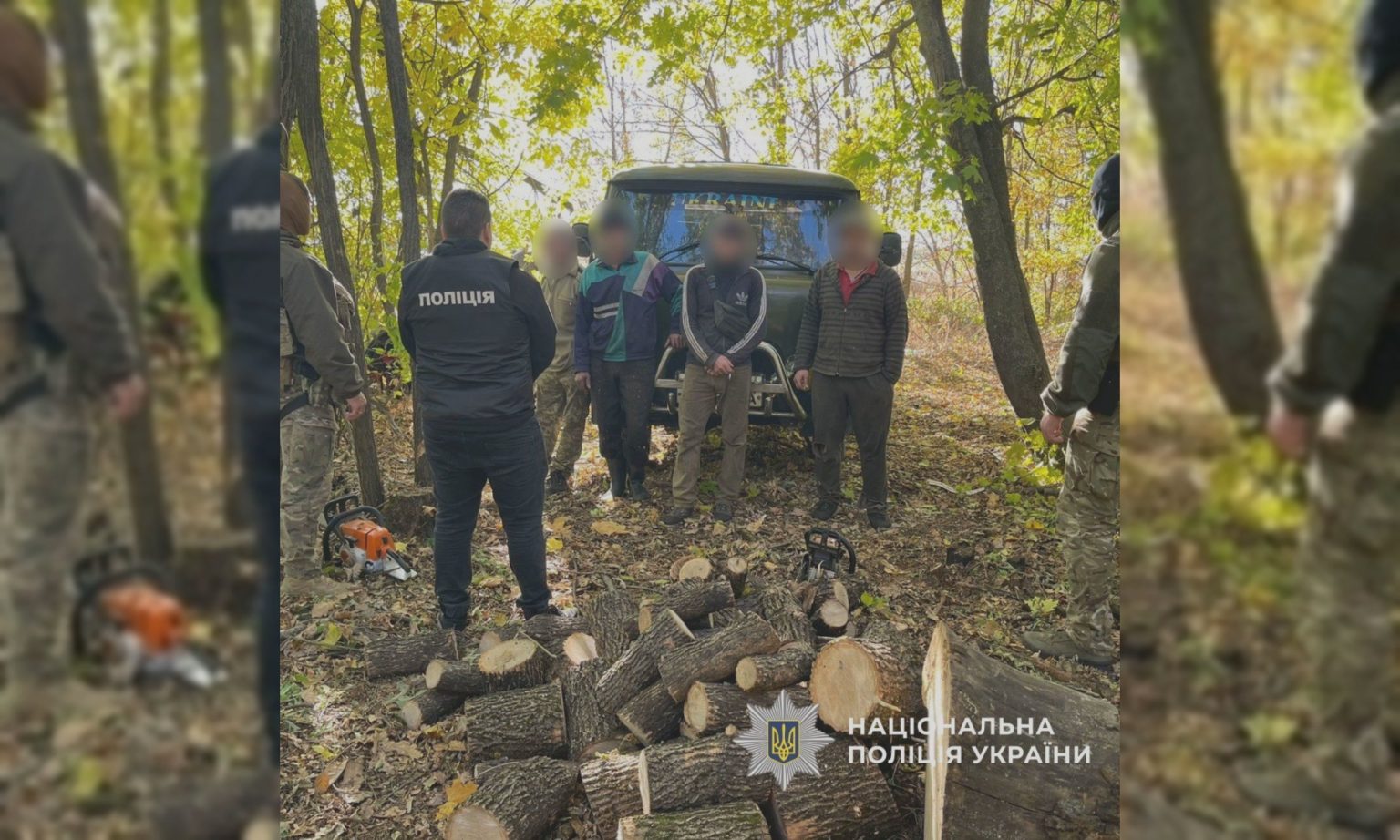 Почти 2 тыс. деревьев срубили на Харьковщине: что грозит «черным лесорубам»