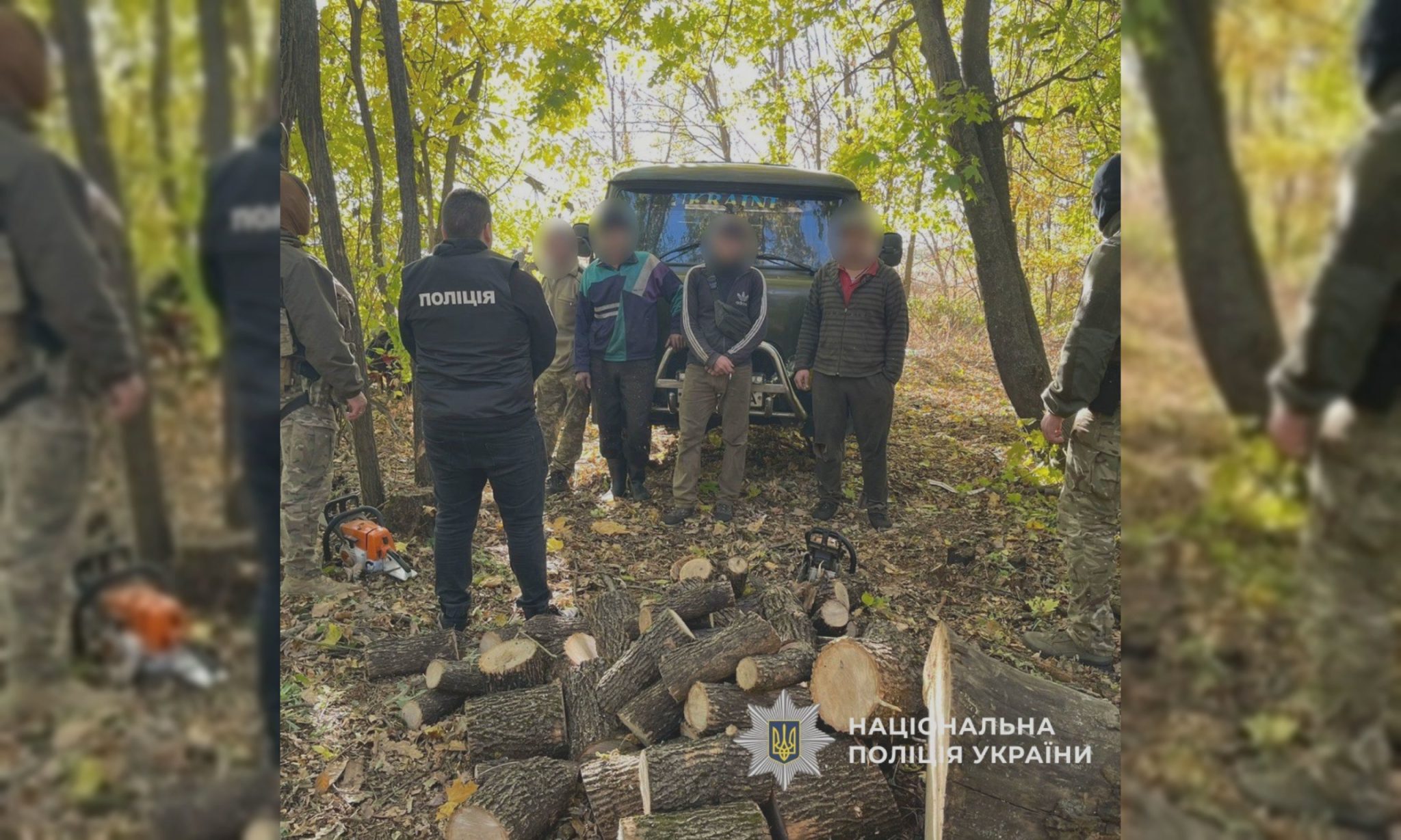Майже 2 тис. дерев зрубали на Харківщині: що загрожує «чорним лісорубам»