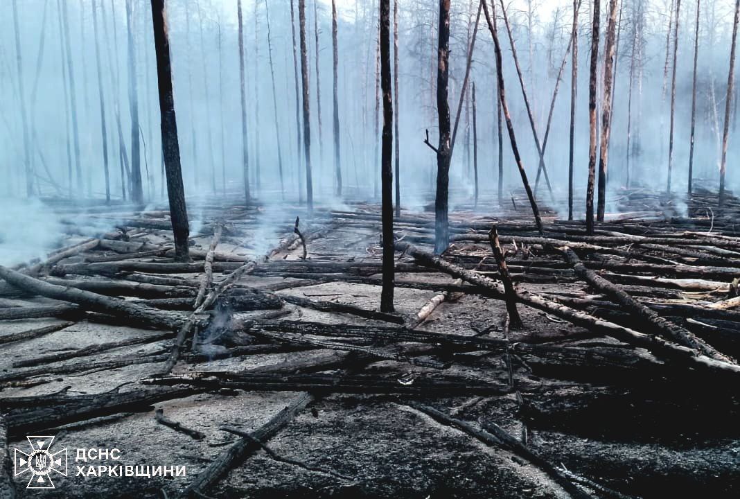 В Ізюмських лісах на Харківщині – знову пожежа: вогонь гасили добу (фото)