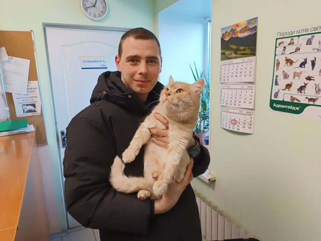30 мая — Международный день объятий вашей кошки: харьковчан зовут найти свою