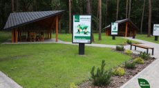 В выходные в лесах Харьковщины — самый высокий класс пожарной опасности