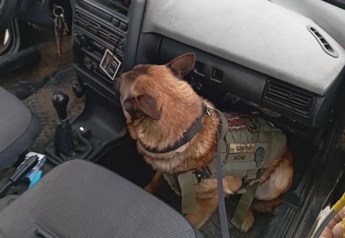 Що знаходять в автівках на блокпостах на в’їздах в Харків – дані за квітень