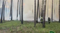 «Чрезвычайное положение» — лесничие о пожаре под Изюмом (фото)