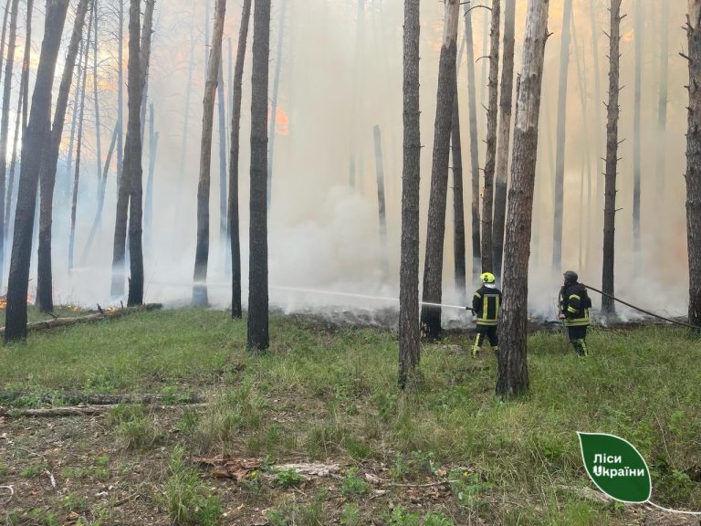 «Чрезвычайное положение» — лесничие о пожаре под Изюмом (фото)