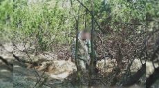 Притворялись туристами: жители Харьковщины наткнулись на фотоловушку в горах