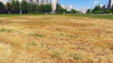 Как в Харькове создают пустыни и разводят амброзию, рассказал биолог