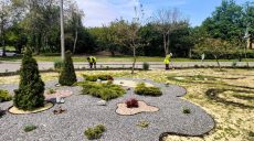 «Зеленую жемчужину» создали в одном из районов Харькова: что высадили (фото)