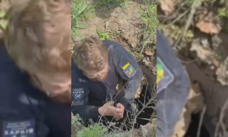 Был в колодце больше суток: как в Харькове спасали собаку (видео)