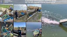 В водоем на Харьковщине выпустили более 195 тысяч рыб: подробности