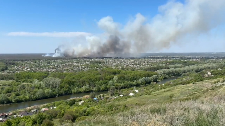 Лесной пожар у Изюма быстро распространяется из-за ветра: началась эвакуация