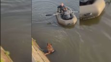 Пес в Харькове испугался взрывов и прыгнул в реку: спасатели помогли (видео)