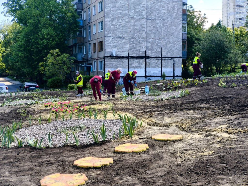 клумба на Салтовке
