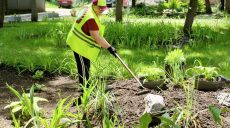 В Харькове весной создали 30 новых клумб и высадили более 50 тысяч цветов