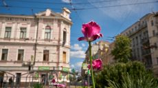 Новости Харькова — главное за 11 мая: россияне атаковали на трех направлениях
