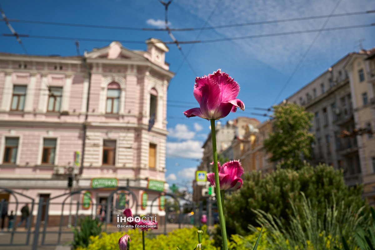 Новости Харькова — главное за 11 мая: четверо раненых, атаки россиян на фронте