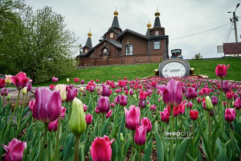 Прогноз погоды на 7 мая в Харькове и области: будет идти дождь