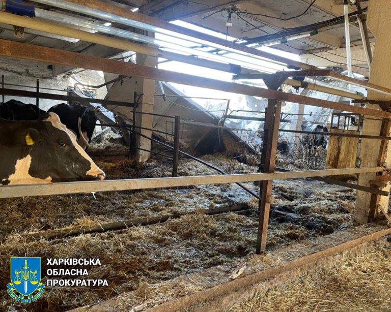 Россияне атаковали агрофирмы и убили коров – последствия атаки по Харьковщине
