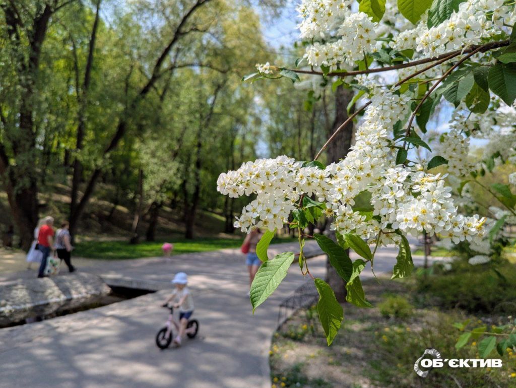 Новини Харкова – головне за 4 травня: як минула ніч, фронт, зоопарк зачинений