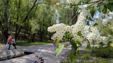 Новости Харькова – главное за 4 мая: как прошла ночь, фронт, закрыт зоопарк