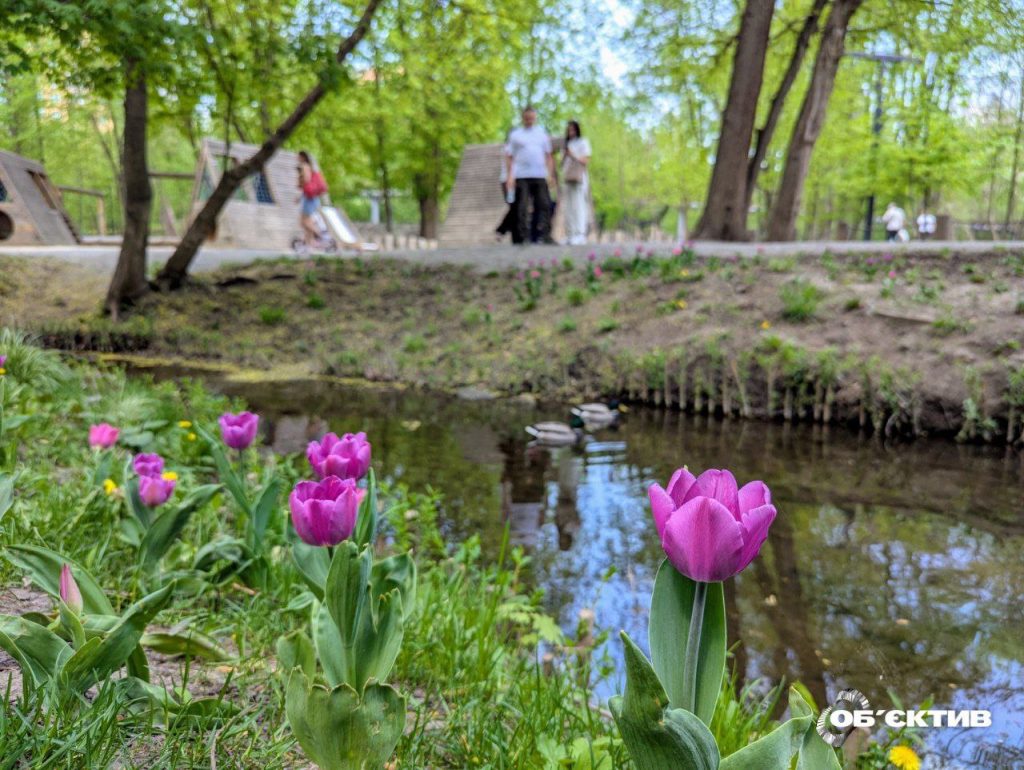 Прогноз погоды в Харькове и области на 5 мая: днем может быть дождь с грозой