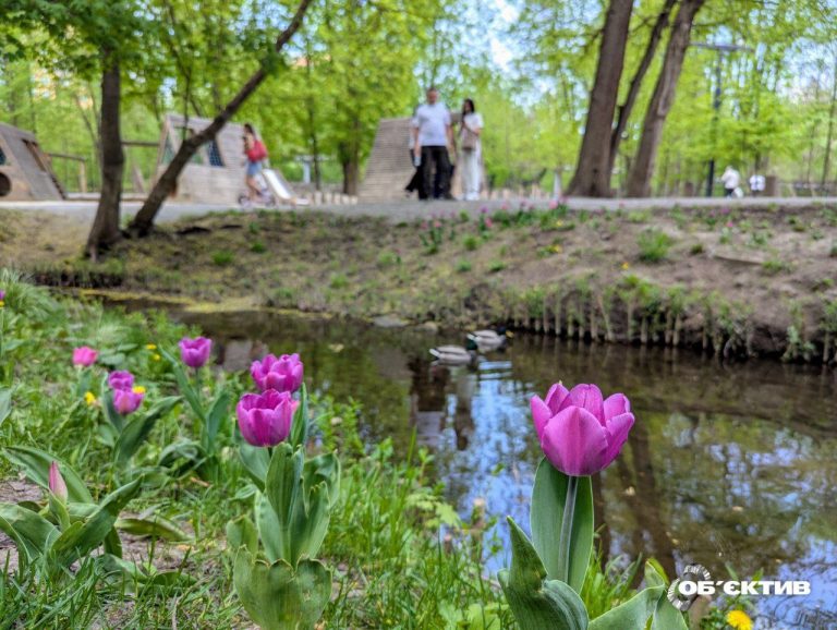 Прогноз погоды в Харькове и области на 5 мая: днем может быть дождь с грозой