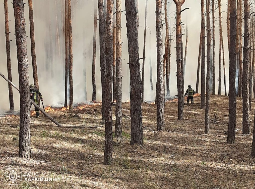 Лісова пожежа в Ізюмському районі Харківської області