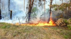 Загорелся заповедник на Харьковщине из-за удара РСЗО