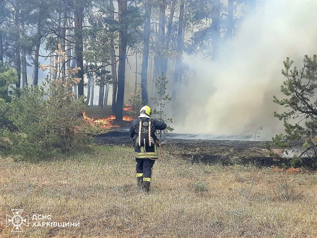 Лісова пожежа в Ізюмському районі Харківської області