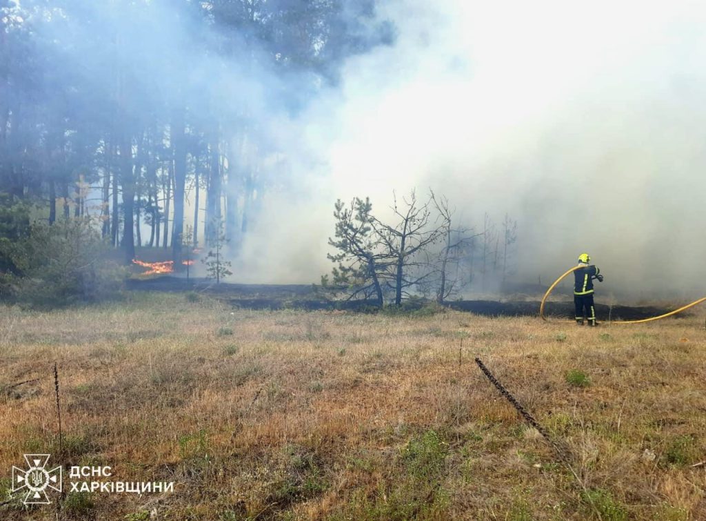 Лісова пожежа в Ізюмському районі Харківської області
