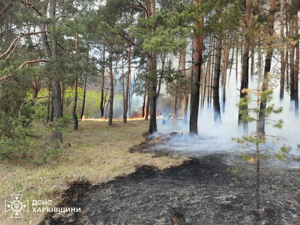 Лісова пожежа в Ізюмському районі Харківської області