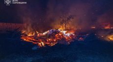 От пожара в лесах под Изюмом загорелись дома и хозпостройки (фото, видео)