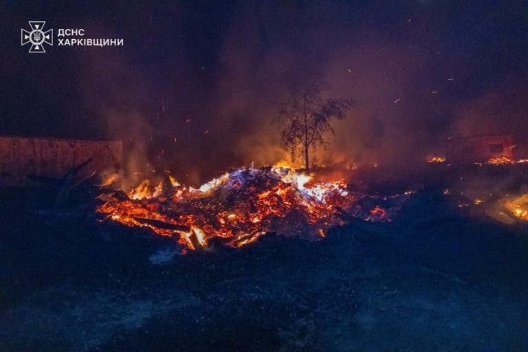 От пожара в лесах под Изюмом загорелись дома и хозпостройки (фото, видео)