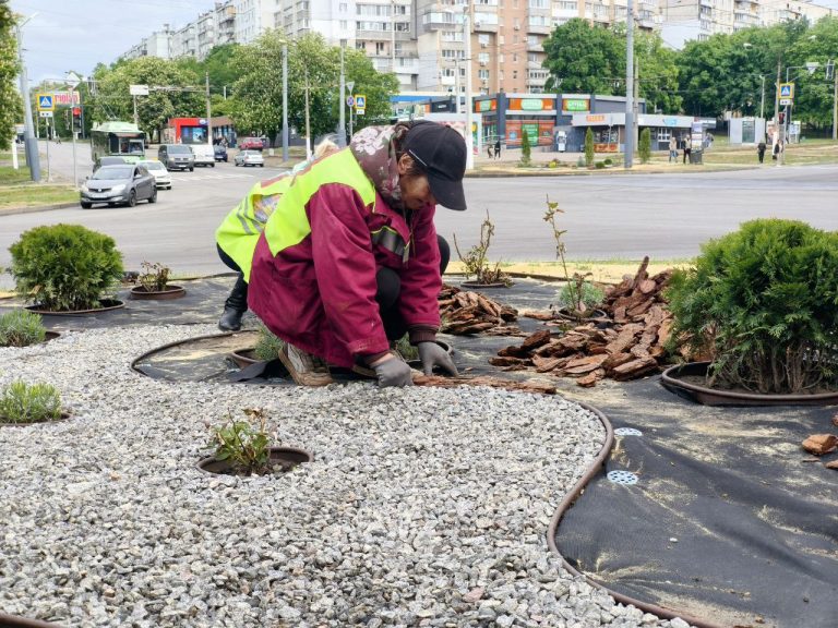 «Зеленая весна»: в Харькове высадили более 32 тыс. многолетников (фото)