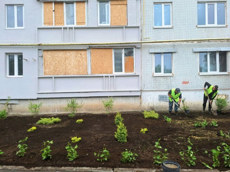 Клумбы с хвойниками разбили на Северной Салтовке в Харькове (фото)