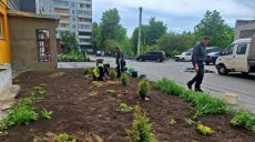 Клумбы с хвойниками разбили на Северной Салтовке в Харькове (фото)