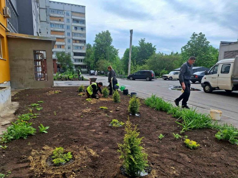 Клумбы с хвойниками разбили на Северной Салтовке в Харькове (фото)