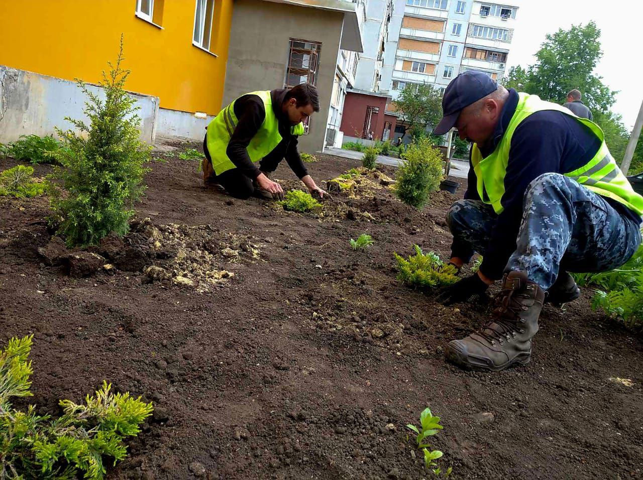 клумбы на северной салтовке разбили