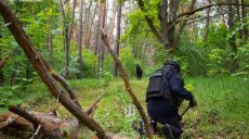 На Харьковщине будут подрывать мины сегодня – где и во сколько