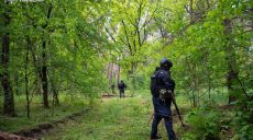 Что находят в самых грибных лесах Харьковщины саперы (видео)