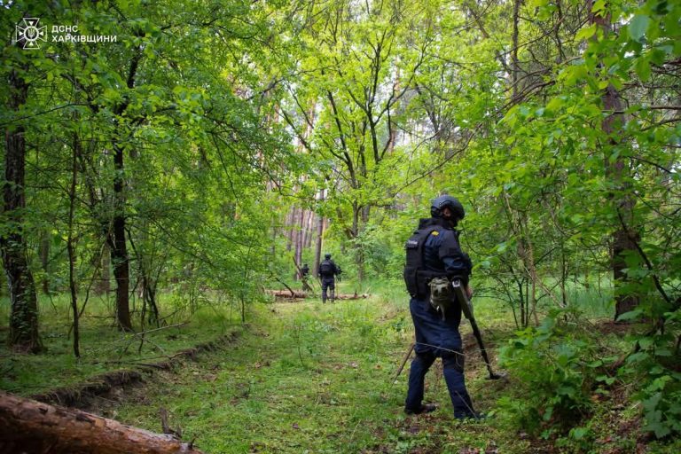 Що знаходять у найбільш грибних лісах Харківщини сапери (відео)