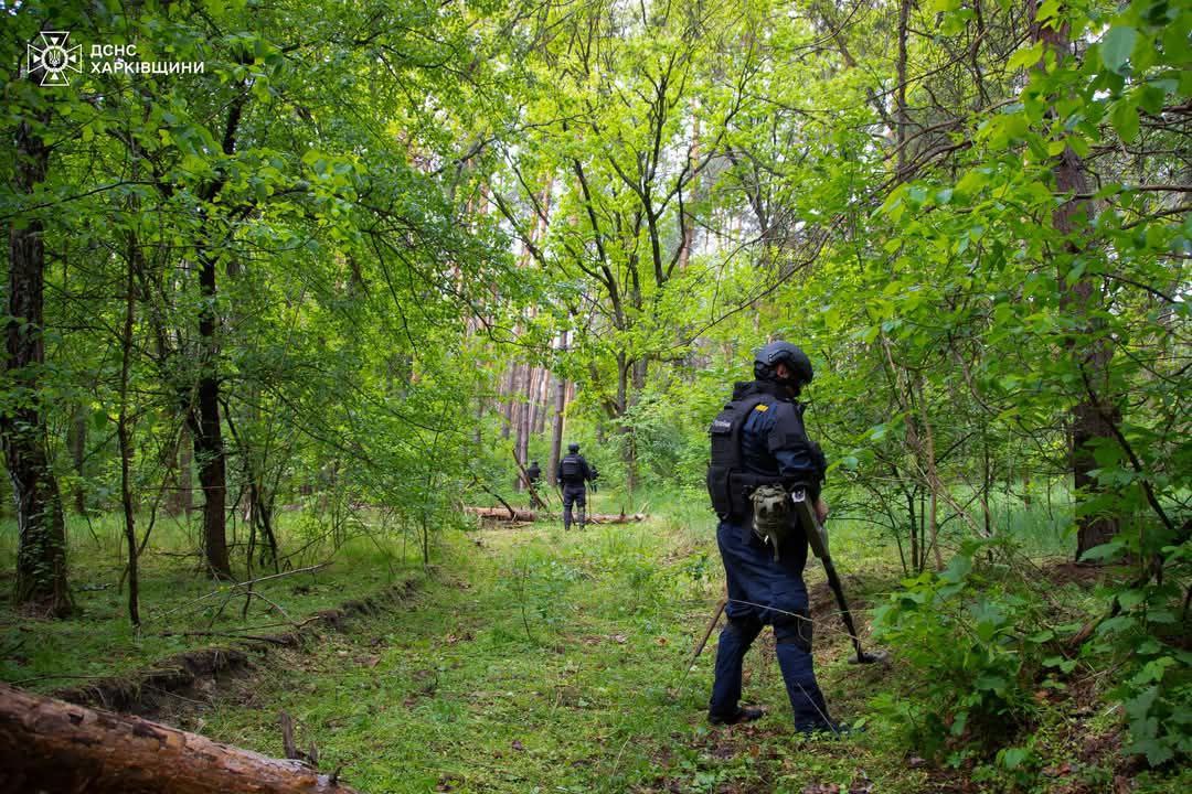 Що знаходять у найбільш грибних лісах Харківщини сапери (відео)