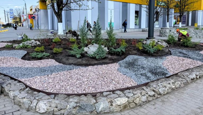 Рокарії з хвойниками з’явилися в одному з районів Харкова (фото)