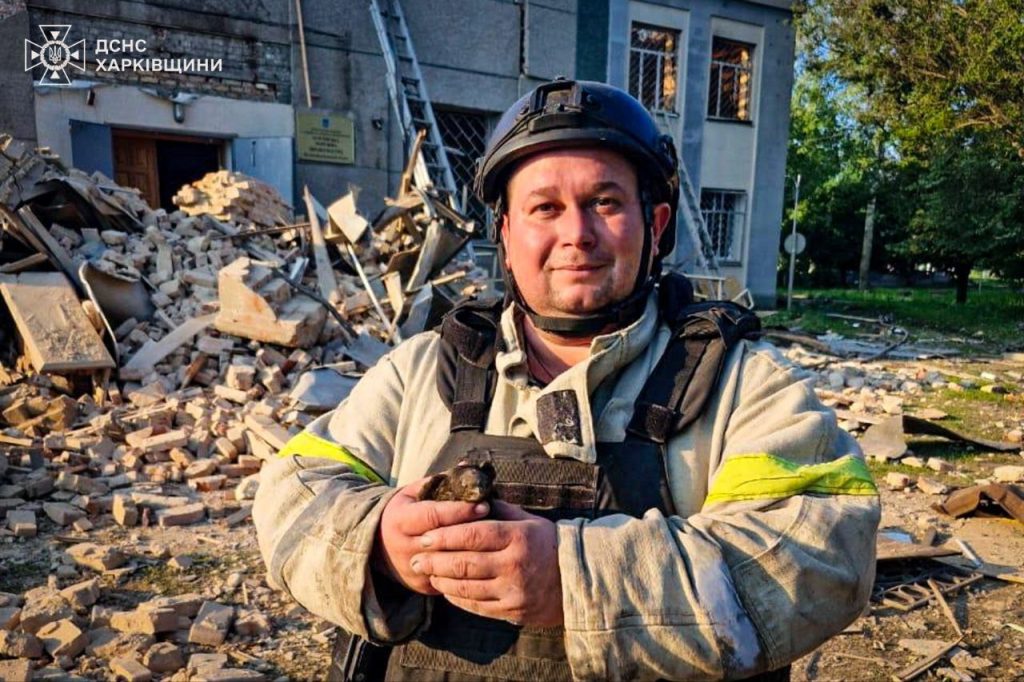 Утром БпЛА ударили по Великому Бурлуку: ГСЧС показала разрушения (фото)