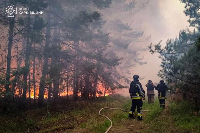 Палає Старосалтівське лісництво на Харківщині, вибухають міни (фото)