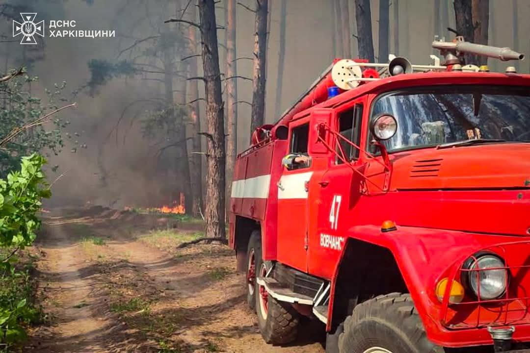 Горить ліс у Старому Салтові.