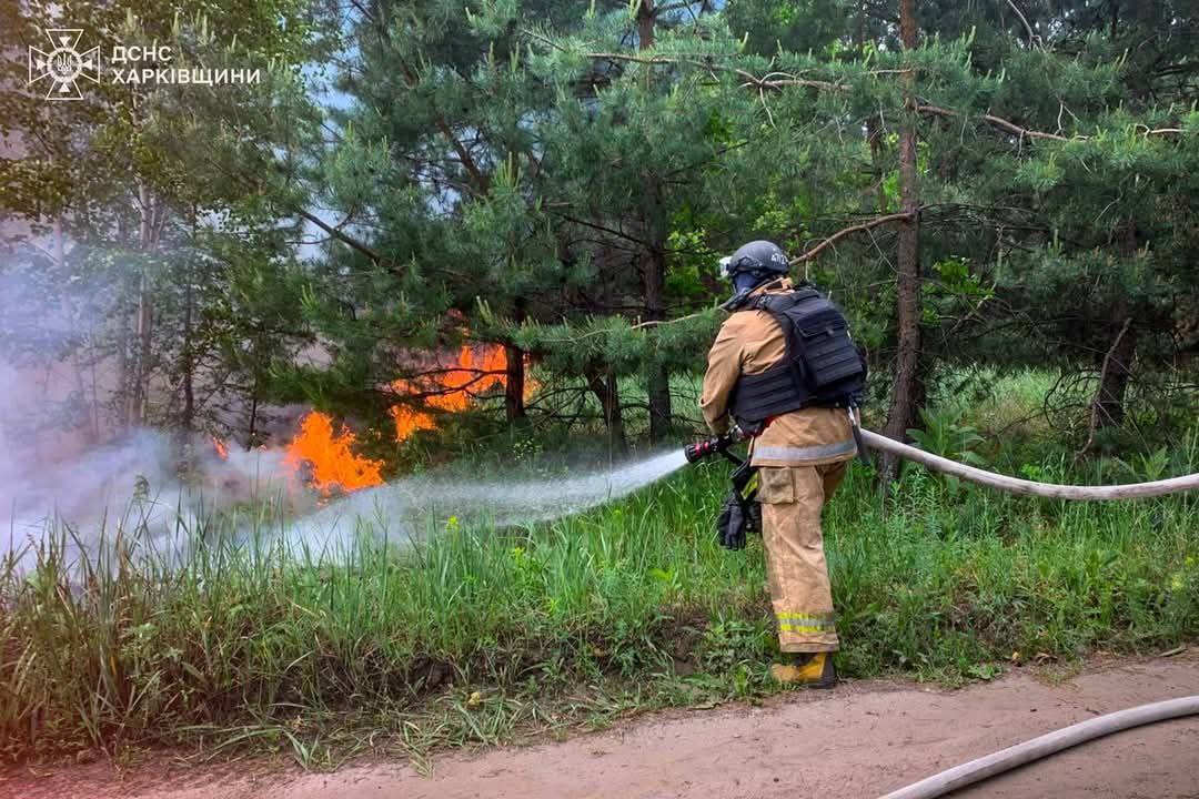 Горить ліс у Старому Салтові.