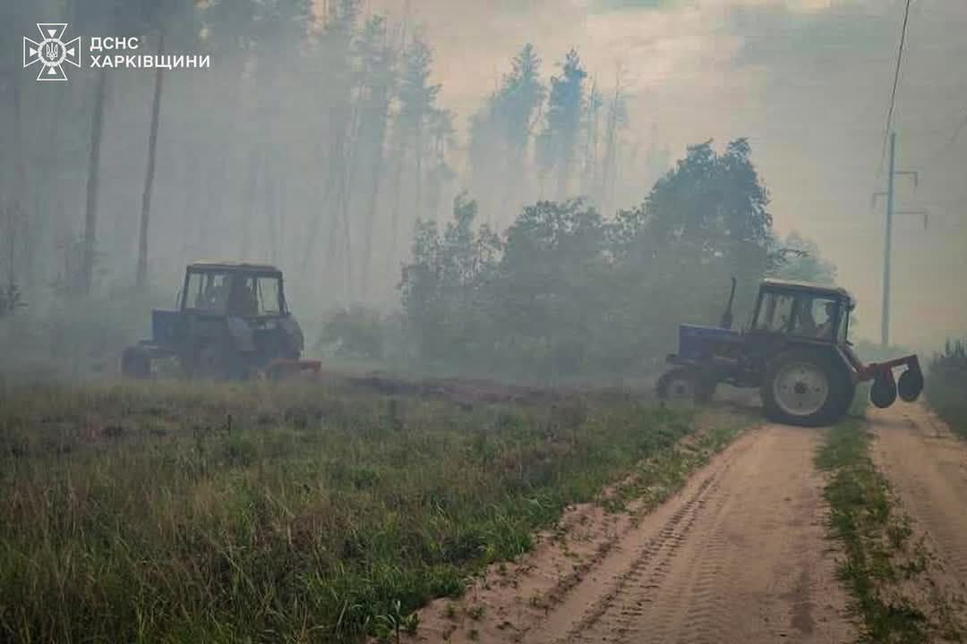 Горить ліс у Старому Салтові.