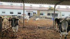 В Изюме пять БпЛА уничтожили склад с продуктами — прокуратура о «прилетах»
