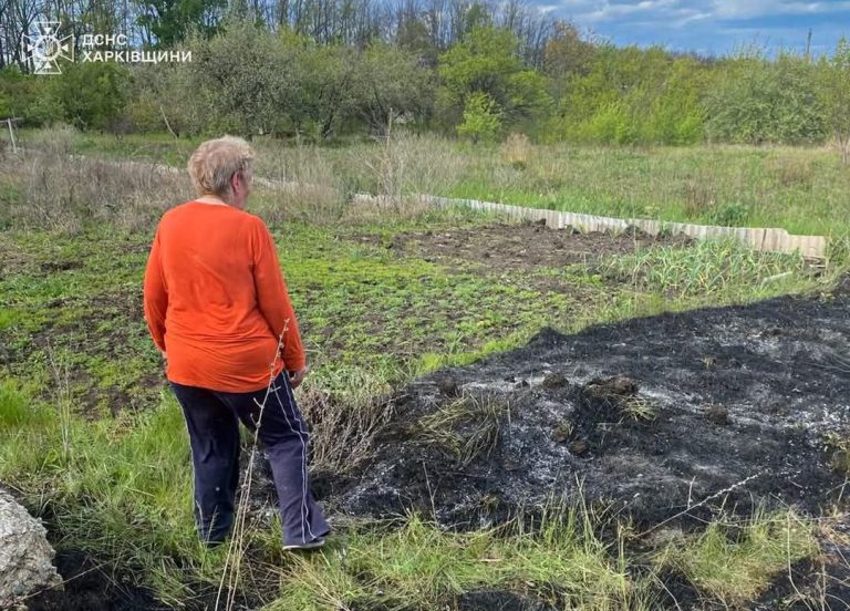 Поджигательница сухостоя на Харьковщине заплатит за свои действия